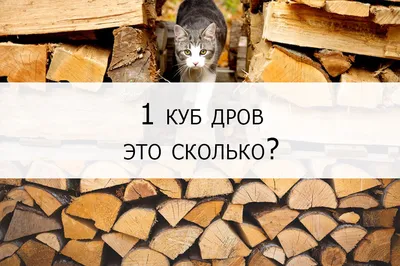 1 куб дров это сколько? Почему куб бывает разный? | Всё о дровах и твёрдом  топливе | Дзен