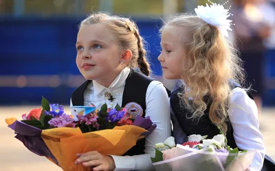 День знаний по-взрослому. Что родители подарят детям и учителям 1 сентября  | ОБЩЕСТВО:Образование | ОБЩЕСТВО | АиФ Красноярск