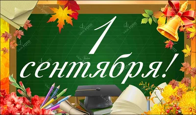 Минпросвещения пообещало торжественные линейки в школах 1 сентября — РБК