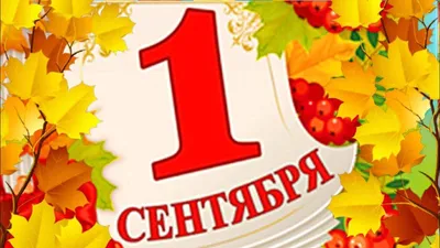 1 сентября картинки