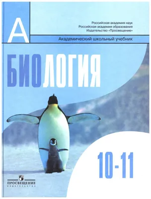 Задача по физике за 10 класс: всего лишь кинематика — сможете решить? |  Репетитор IT mentor | Дзен