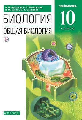 Биология 10 класс - купить учебника 1 класс в интернет-магазинах, цены на  Мегамаркет | 6108528