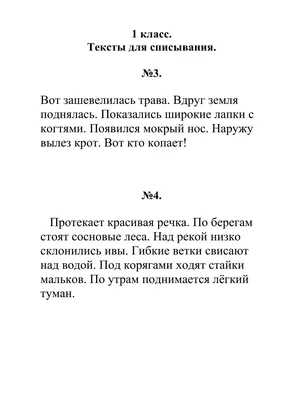 Задания онлайн Конкурса Кенгуру 1 класс | Систематика