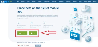 1xBet Welcome Bonuses up to BRL 1,560 in Brazil 2024