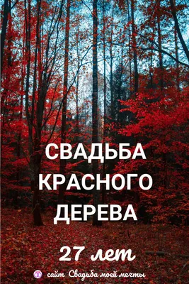 27 лет свадьбы | Свадьба, Лето, Годовщина свадьбы