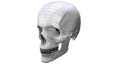 3D-Drucker: Gute Druckqualität schon für unter 300 Euro | Stiftung Warentest