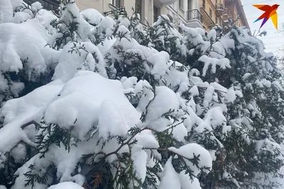 Введение во храм Пресвятой Богородицы. Что нельзя делать в церковный праздник  4 декабря