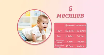 5 месяцев нашей девочке 💓2 зубика и переворачиваемся во всю💓очень любит  деток,смеётся когда их видит#никулякрасотуля#5months | Instagram