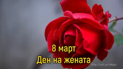 Цветы/букеты девушке/клубника/14февраль/8март: 1 200 тг. - Сад / огород  Астана на Olx