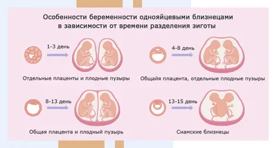 6 неделя беременности: узи плода на шестой неделе