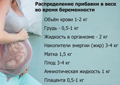 УЗИ беременности