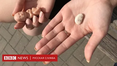 За подписью в церковь: как в Белгородской области не пускают делать аборты  - BBC News Русская служба