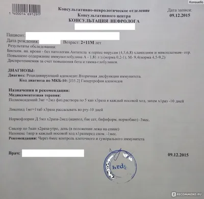 Аденоиды, фарингеальный миндалин или носоглоточный миндалин отоларингология  Аденоидная гипертрофия Векторное изображение ©Sakurra 480943690