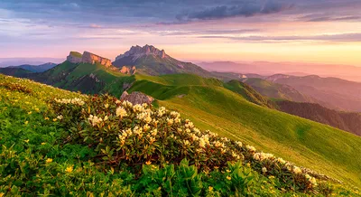 Термальные жемчужины Адыгеи (геотермальный источник, ущелье ручья Руфабго,  ущелье Мишоко, Хаджохская Теснина, плато Лаго-Наки, Большая Азишская  пещера, 7 дней + ж/д или авиа) - Туры в Адыгею из Москвы