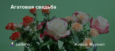 Медаль 14 лет \"Агатовая свадьба\" в футляре