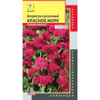 Агератум Обыкновенная Голубая норка – купить семена в интернет-магазине  Лафа с доставкой по Москве, Московской области и России