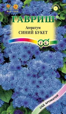 Агератум | Ageratum houstonianum High Tide F1 PanAmerican (100/1000 seed)  (ID#1506127853), цена: 615 ₴, купить на Prom.ua