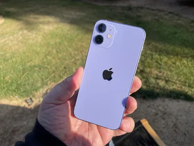 Is The iPhone 12 Pro Worth It? For Budding Photographers, The Answer Is Yes  - Forbes Vetted