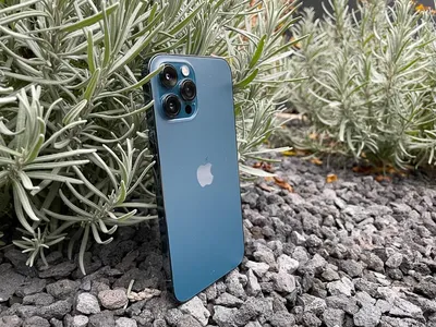 Apple iPhone 12 Pro / 12 Pro Max Review | ePHOTOzine