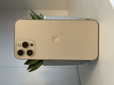 iPhone 12 Pro Max im Test – Ganz schön viel iPhone!