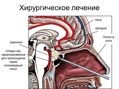 СберВместе — Человек с большим сердцем