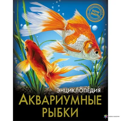 Лучшие пресноводные аквариумные рыбки – выбор покупателей Аква Лого, часть 1