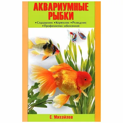 Аквакласс» в Туле: Аквариумные рыбки, гекконы, пауки и другие экзотические  животные - MySlo.ru