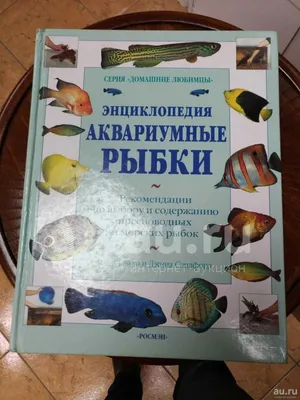 Раскраски Аквариумные рыбки распечатать бесплатно в формате А4 (17  картинок) | RaskraskA4.ru