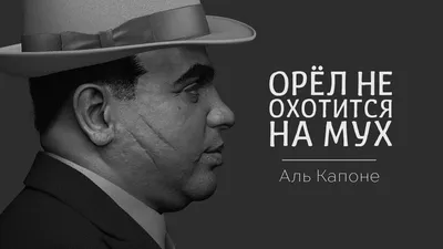 Аль Капоне.Порядок вне закона — купить книги на русском языке в DomKnigi в  Европе