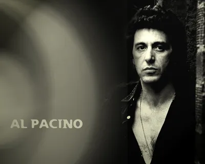 Фотографии Аль Пачино/Al Pacino – 80 альбомов | Al pacino, Young al pacino,  Dog day afternoon