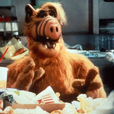 Ryan Reynolds Admits to an 'Irrational Love' for 'ALF'