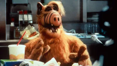 Ryan Reynolds Bringing Back 'ALF' On His Maximum Effort Channel – Deadline