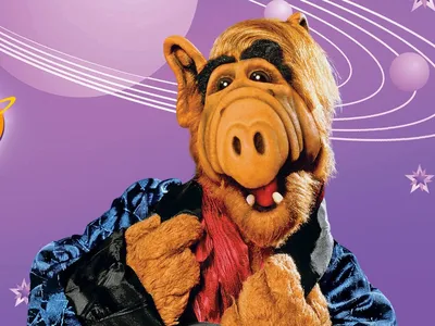 Action Figure Barbecue: Action Figure Review: ALF (Alien Life Form) from ALF  by NECA