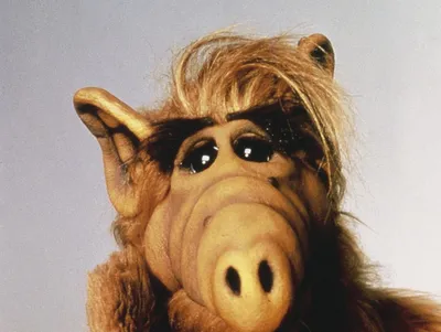 Alf - Staffel 1 (4 DVDs)' von 'Tom Patchett' - 'DVD'