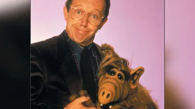 Adult ALF Costume