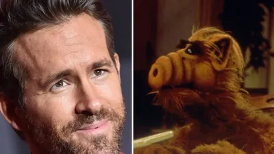 Versteckt eure Katzen!: Ryan Reynolds bringt Alf zurück | NETZWELT