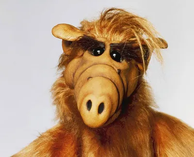 Kult-Serie Alf: Wie ein haariges Alien größer als David Hasselhoff wurde