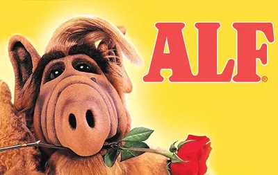 Was wurde aus den \"Alf\"-Stars?