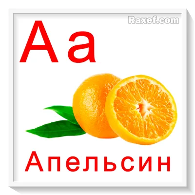 Английский алфавит для детей — изучение английского алфавита, учим алфавит  английский для детей онлайн по видео, карточкам, прописям — школа  английского языка EnglisHouse