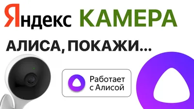 Умная колонка Yandex Станция Макс Алиса серый 65W 1.0 BT 10м (YNDX-0008W)