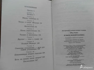 Иллюстрация 19 из 19 для Я была женой Нагиева - Алиса Шер | Лабиринт -  книги. Источник: Катрин7