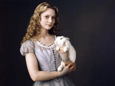 Alice in Wonderland. Алиса в стране чудес. PNG. в 2023 г | Страна чудес,  Алиса в стране чудес, Мультфильмы