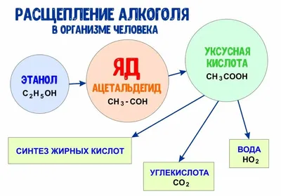 Иб Ds: Диабетическая дистальная полинейропатия верхних и нижних  конечностей, стадия 2А, сенсо-моторной формы. | Рефераты Неврология |  Docsity