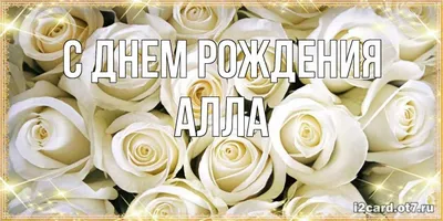 Поздравляем нашего волонтёра Аллу Мухину @alla.muhina с Днём рождения! 🌹  Алла - посол красоты в нашем фонде😊. Аллочка, желаем тебе… | Instagram