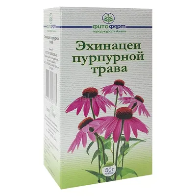 На лице сыпь: причины появления, заболевания и аллергические и угревые  высыпания на коже, лечение