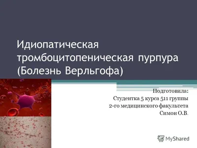 Эхинацеи пурпур трава 50г (Фитофарм) - купить в Ростове-на-Дону дешево,  цена и отзывы. Эхинацеи пурпур трава 50г (Фитофарм) инструкция, применение,  дешевые аналоги, описание. Купить в интернет-аптеке social-apteka.ru