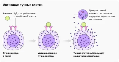 У мужчин может быть аллергия на собственный оргазм