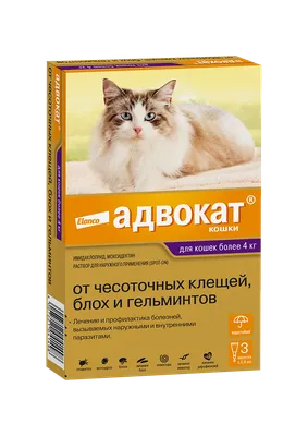 Глисты у ребёнка: причины, симптомы, диагностика и лечение гельминтов у  детей