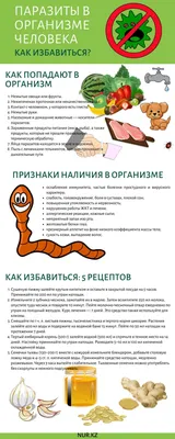 Анальный зуд - причины появления, при каких заболеваниях возникает,  диагностика и способы лечения