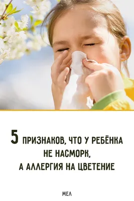 Аллергия, у малыша 4 месяца — 7 ответов | форум Babyblog